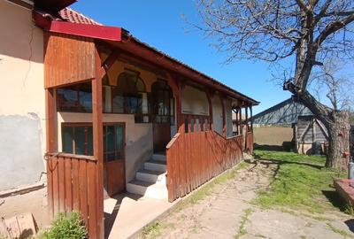 Casă individuală cu 5 camere cu Teren 1250 Mp în Ciupercenii Noi - 3