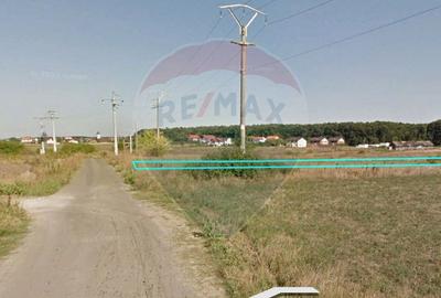 Teren Construcții intravilan de 3900 mp, în Vlădiceasca - 7