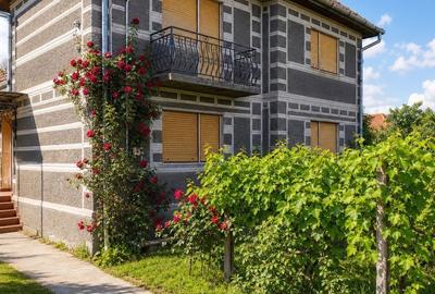 Casă cu 5 camere cu Teren 4605 Mp în Lugașu de Jos - 6