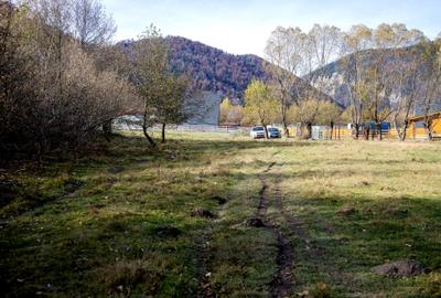 Teren Construcții intravilan de 2500 mp, în Tohănița - 14