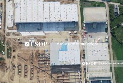 WDP Industrial Park Dragomiresti, spatii industriale, 0% ... - 10