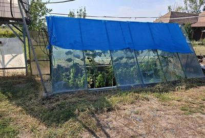 Casă în Acâș - 10