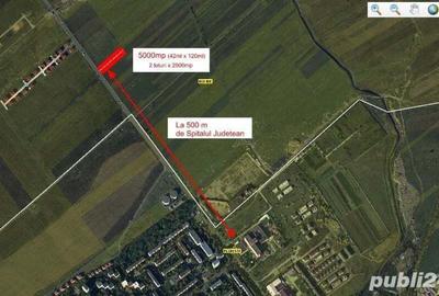 Teren de 5000 mp, în Roua - 6