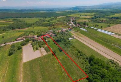 Casa  cu 3 camere si teren 4,342 mp de vanzare in Valea Mare de Codru - 17