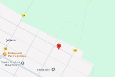 Casă cu 2 camere cu Teren 1440 Mp în Șepreuș - 2