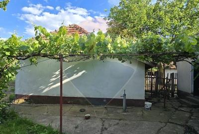 Casa  cu livada 2880 mp in Adea la 4km de Chisineu-Cris - 12
