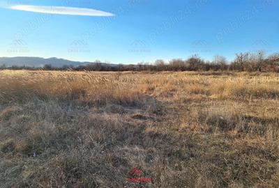 Casă în Bănești - 7