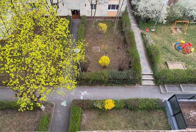 Apartament cu 2 camere decomandat în Dosu Bricii - 1