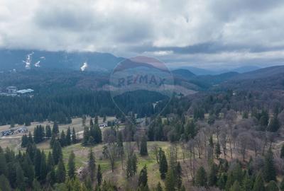 Teren Construcții intravilan de 1000 mp, în Poiana Brașov - 1