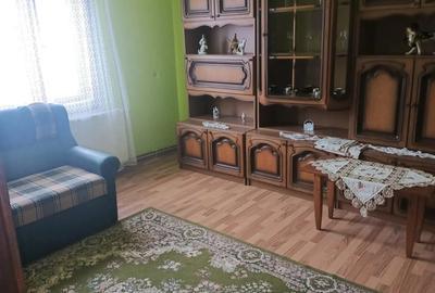 Casa tradi?ionala din piatra ?i lemn, 200 mp utili, teren 850 mp Cavnic - 9