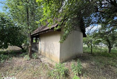 Teren de 500 mp, în Bercu Roșu - 4