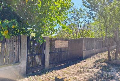 Casă cu 4 camere cu Teren 3500 Mp în Central - 1