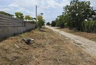 Casa si teren Vadu , ID: R2757056 - 11