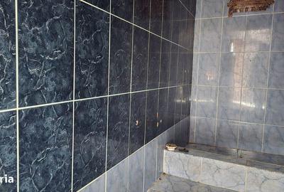 Casă cu 2 camere cu Teren 1585 Mp în Brănișca - 3