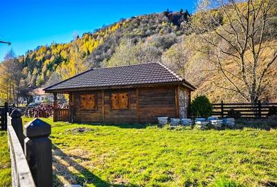 Pensiune noua, cu acces la apa curgatoare,  Bran, Moieciu, Brasov Pensiune noua, cu acces la apa curgatoare,  Bran, Moieciu, Brasov - 31