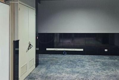 REC3001530 SPATIU COMERCIAL I PIATA CHIBRIT - 2