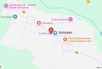 Teren Construcții intravilan de 990 mp, în Schiulești
