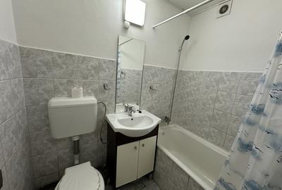 Garsonieră decomandată, mobilată în Cetate - 11