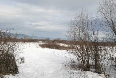 320 ha pasune si pasune impadurite pentru arenda, superficie sau achititie - 1