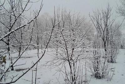 Casă cu 3 camere în Amnaș - 9