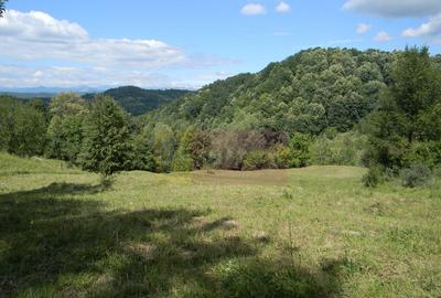 Teren intravilan de vanzare in Telega - 8