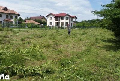 Teren de 3676 mp, în Păulești - 3