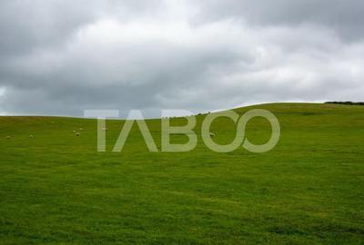 Teren intravilan de vanzare 5.986 mp Selimbar Sibiu - 5