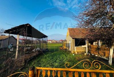 Casa 4 camere Seitin 2144 mp teren - 1