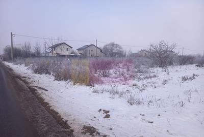 Teren Domnesti 12300 mp de vanzare sau asociere - 2