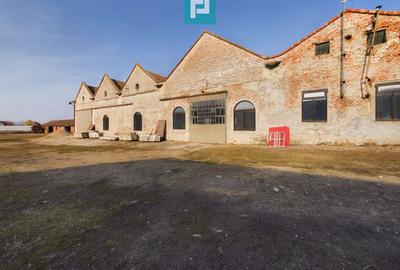 Teren și hale pe calea Aradului în Periam - 12