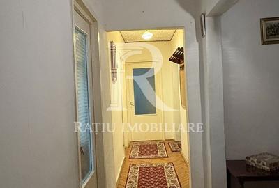 Apartament cu 3 camere decomandat în Nufărul - 12