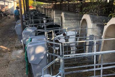 Teren de 3000000 mp, în Cornățelu - 9