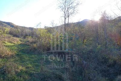 Teren de 363 mp, în Fântânele - 1