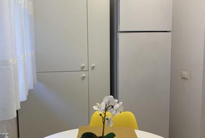 Apartament cu 2 camere decomandat, mobilat în Nicolae Grigorescu - 3
