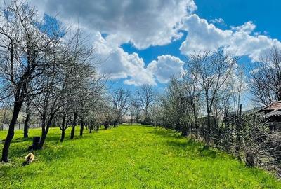 Teren de 2400 mp, în Brebu