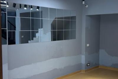 Spatiu comercial Bulebadrul Decebal - 2