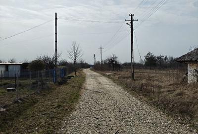 Spațiu comercial, în Lintești - 3