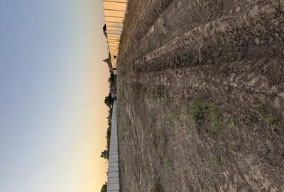 Casă în Central - 1