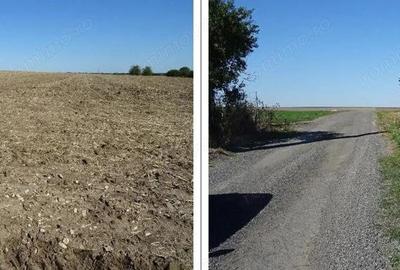 Teren intravilan Valu lui Traian, cota parte 3/48 ; ID: R2782878 - 2