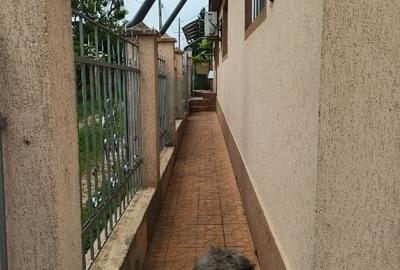 Casă individuală cu 3 camere cu Teren 258 Mp în Lumina - 4