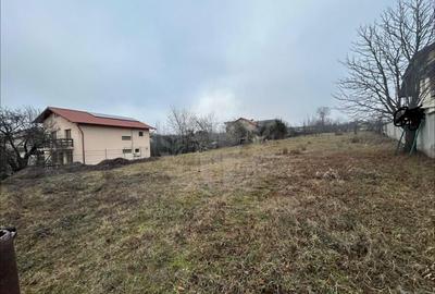 TEREN INTRAVILAN// PAULESTI - 2