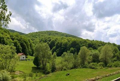 Spațiu comercial, în Măieruș - 8