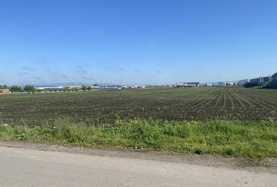 Teren Industrial zona Elmas - 2