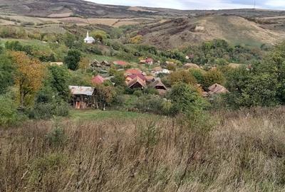 Vand casa la sat - 8