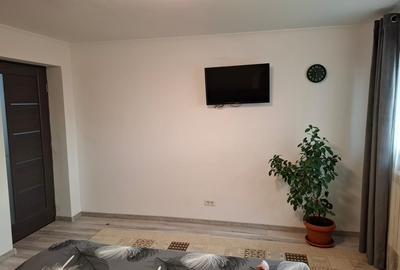 Islaz, Branesti, casa vanzare - 9