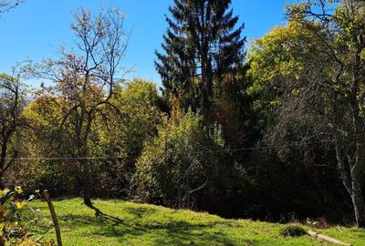 Teren extravilan in localitatea Bulz - 11