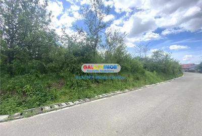 Vanzare teren intravilan Baicoi zona Tintea - 2