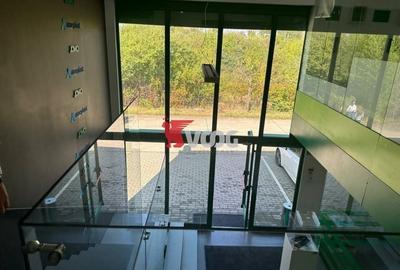 Proprietate Industriala 7000 mp hala in Calea Sagului Timisoara - 7