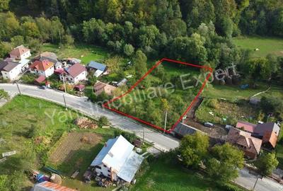 Teren de vanzare in comuna Arefu, sat Arefu, jude? Arge?. - 7