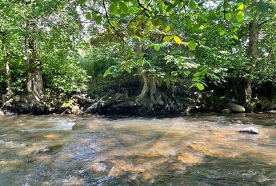 Teren 2,932mp Sarbi (Budesti) / Drumul Principal - 2